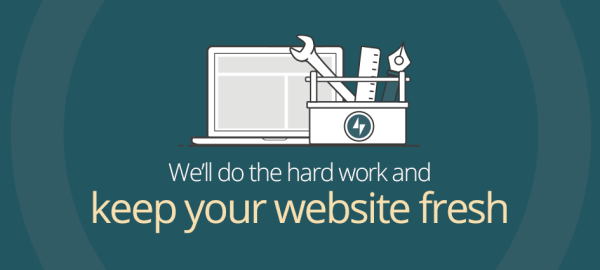 Website Maintenance Service